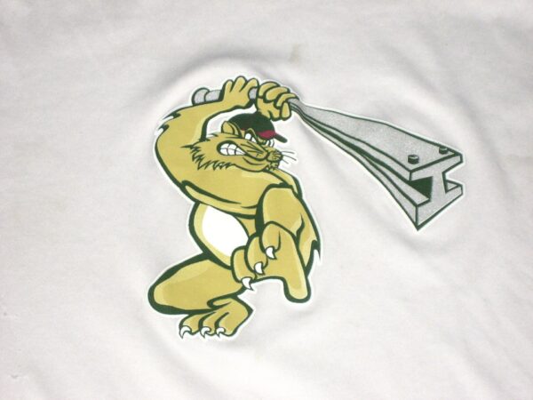 Colby Morris Team Issued & Signed Official Gary SouthShore RailCats Badger Large Shirt - Worn for Batting Practice!