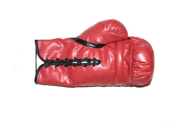 Larry Holmes & Gerry Cooney Autographed Left Everlast Boxing Glove - JSA