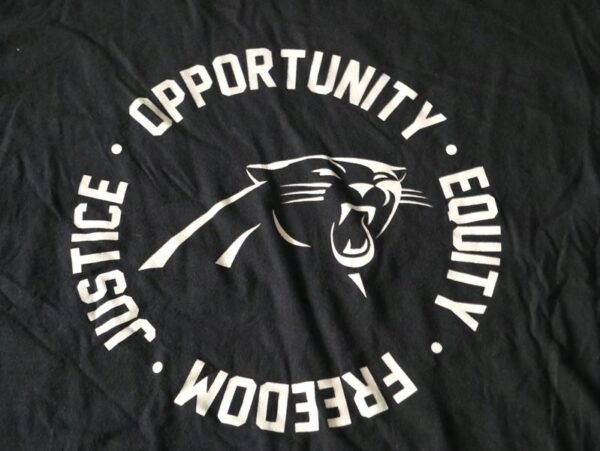 Henry Anderson Practice Worn & Signed Official Carolina Panthers #94 INSPIRE CHANGE Nike XXL Shirt