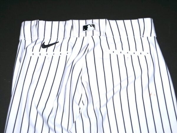 Indigo Diaz 2024 Hudson Valley Renegades Game Worn & Signed Pinstripe Nike MLB Pants