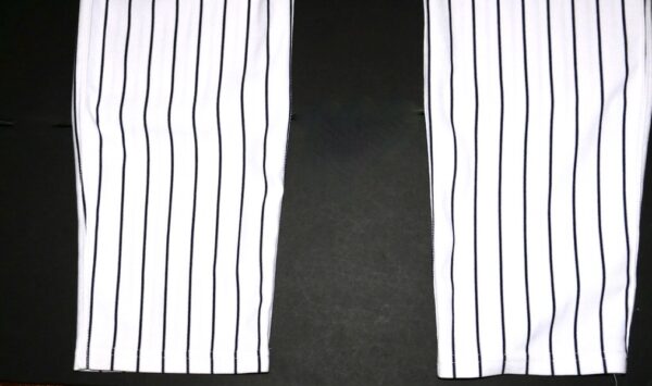 Indigo Diaz 2024 Hudson Valley Renegades Game Worn & Signed Pinstripe Nike MLB Pants