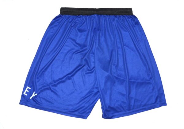 Logan Davidson 2024 Practice Worn & Signed Official Blue Tigres del Licey Shorts - Worn in Winter Ball!