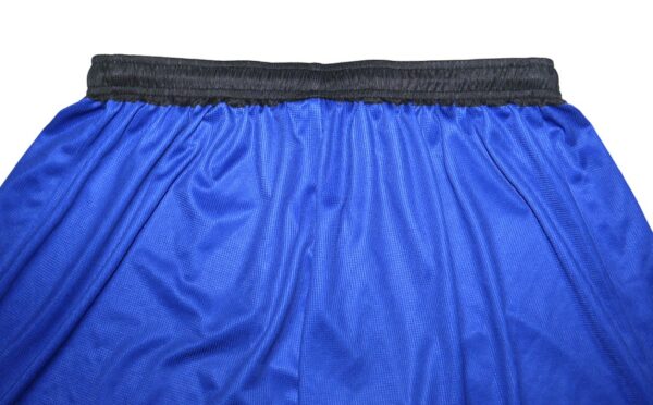 Logan Davidson 2024 Practice Worn & Signed Official Blue Tigres del Licey Shorts - Worn in Winter Ball!